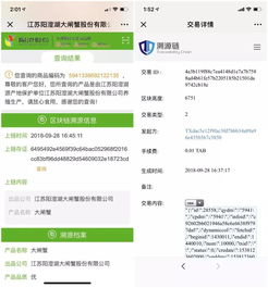 區(qū)塊鏈應(yīng)用遍地開(kāi)花 30大場(chǎng)景落地引領(lǐng)商用時(shí)代加速到來(lái)